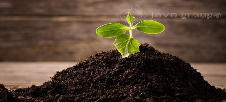 Beberapa Faktor yang Dapat Mempengaruhi Kesuburan Tanah